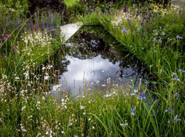 RHS Chatsworth Flower Show; The Wedgwood Garden – A Classic Re-imagined